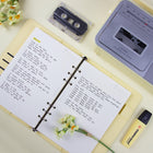 daisy_yellow