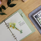matcha_green